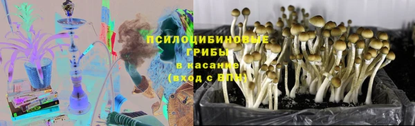 apvp Балабаново