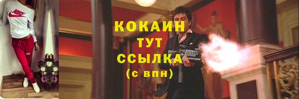 стаф Балахна