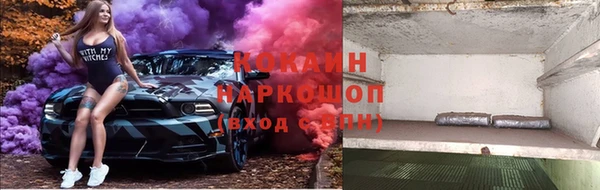 стаф Балахна